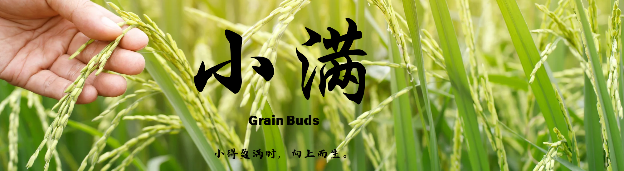 KU体育
